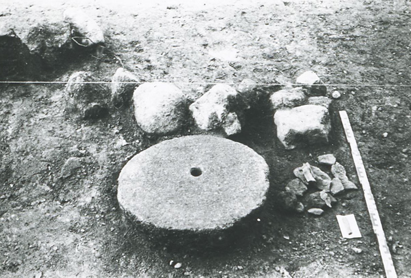 The finds