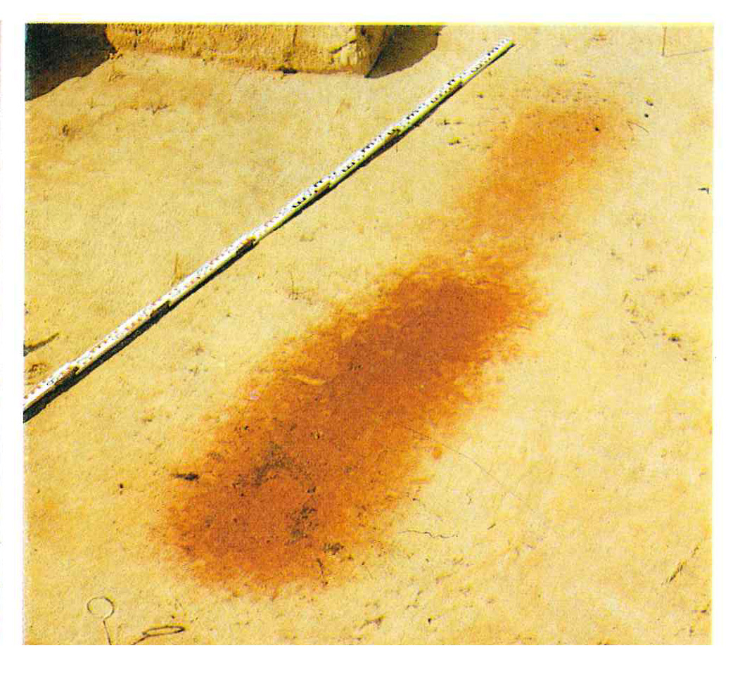 Site 2 (grave 3 and grave 4)