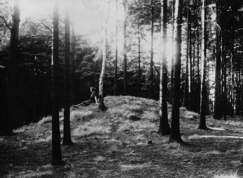Alone in the woods?