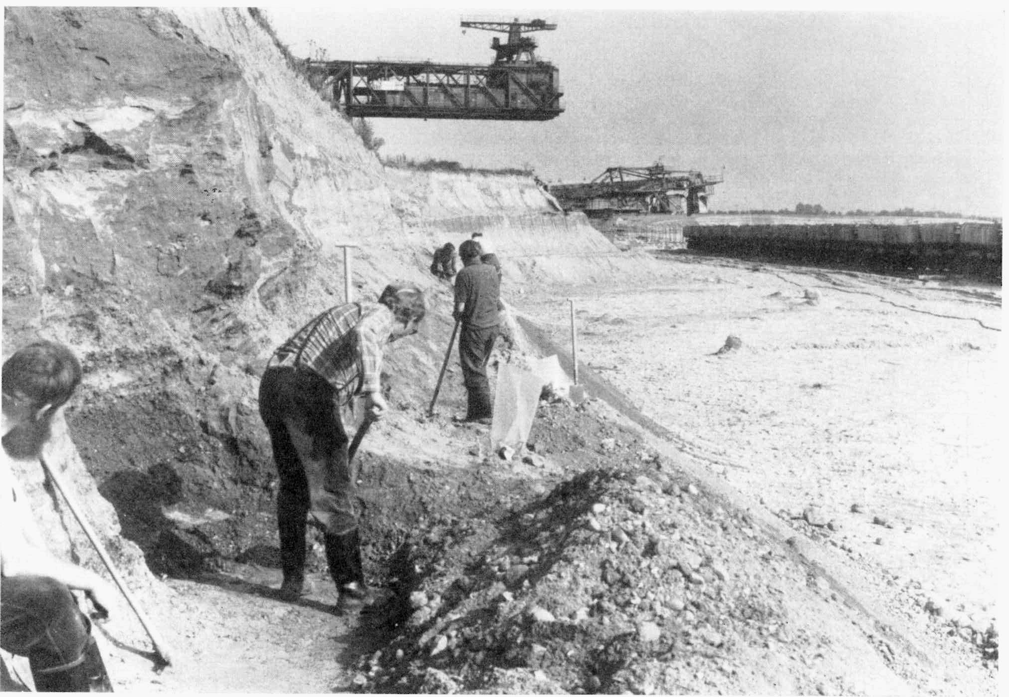 Excavations 1977-1980