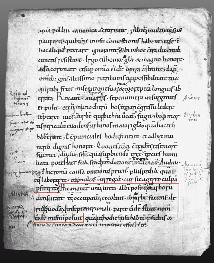 The 