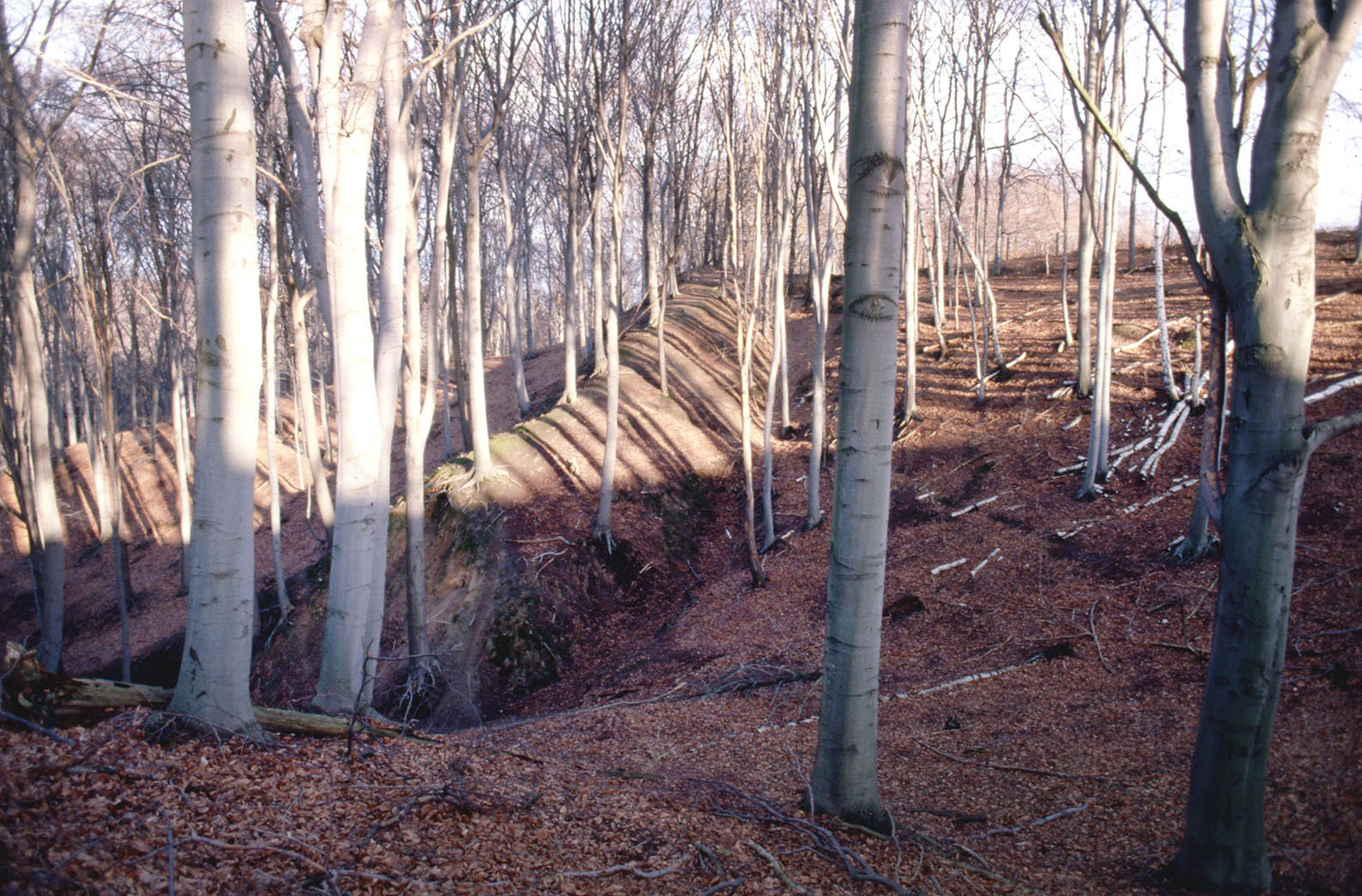 Water supply to the castle