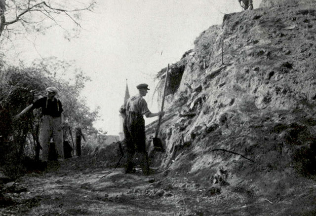 Excavation 1956-1958