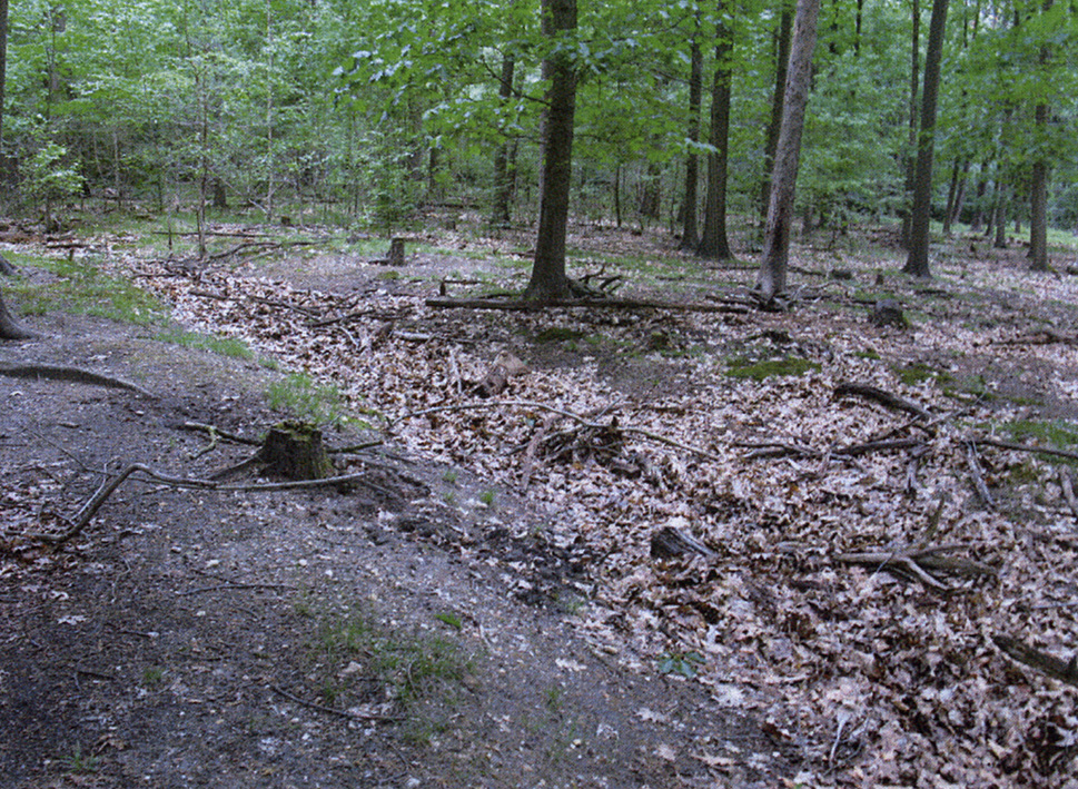 Location of the deserted site