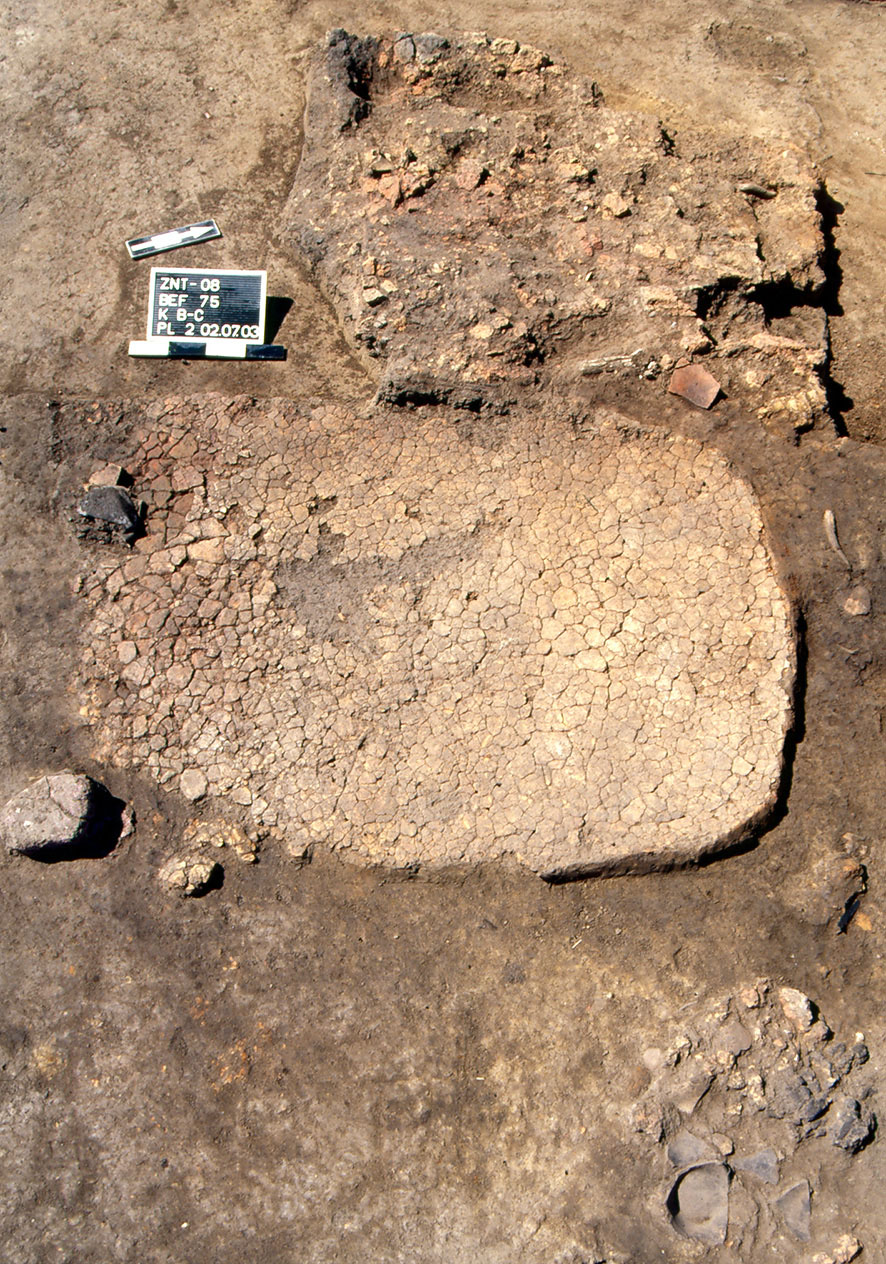 Pit houses
