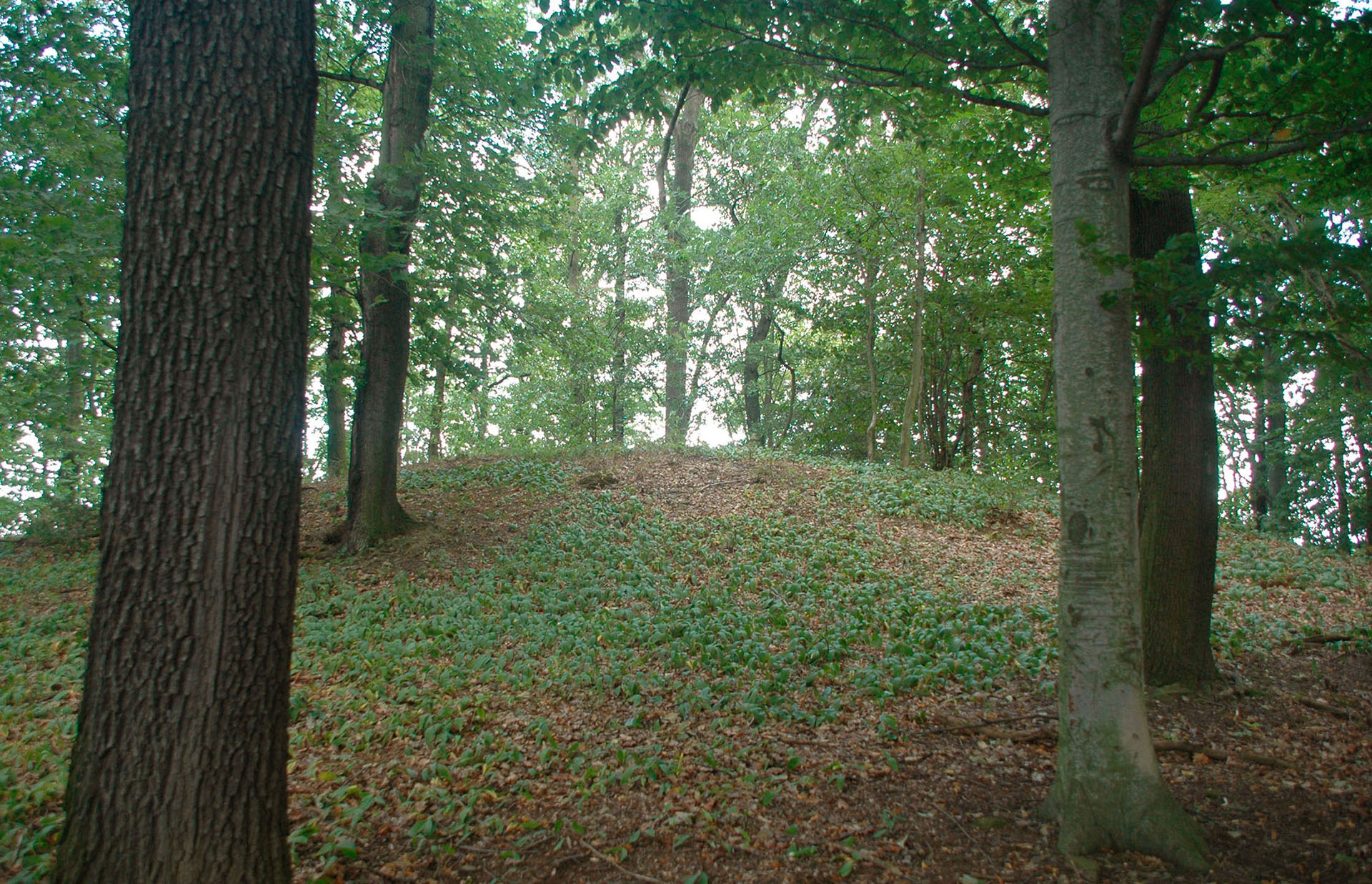 A possible princely tomb
