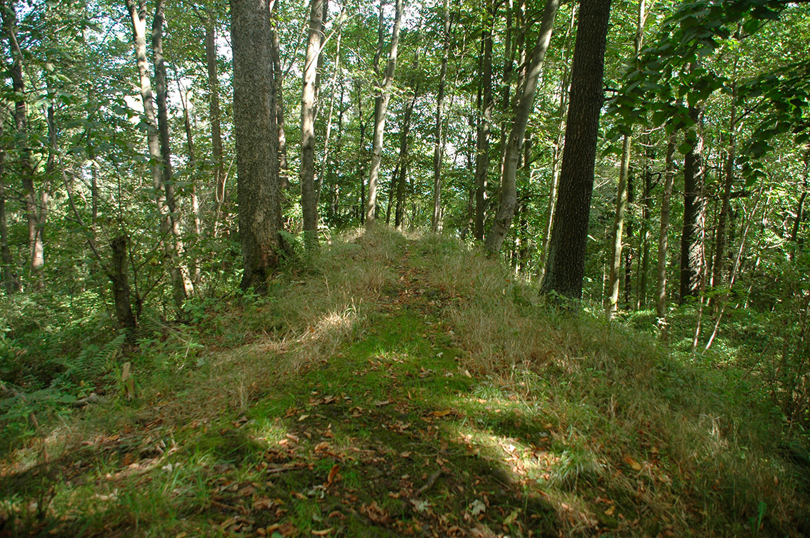 The south wall