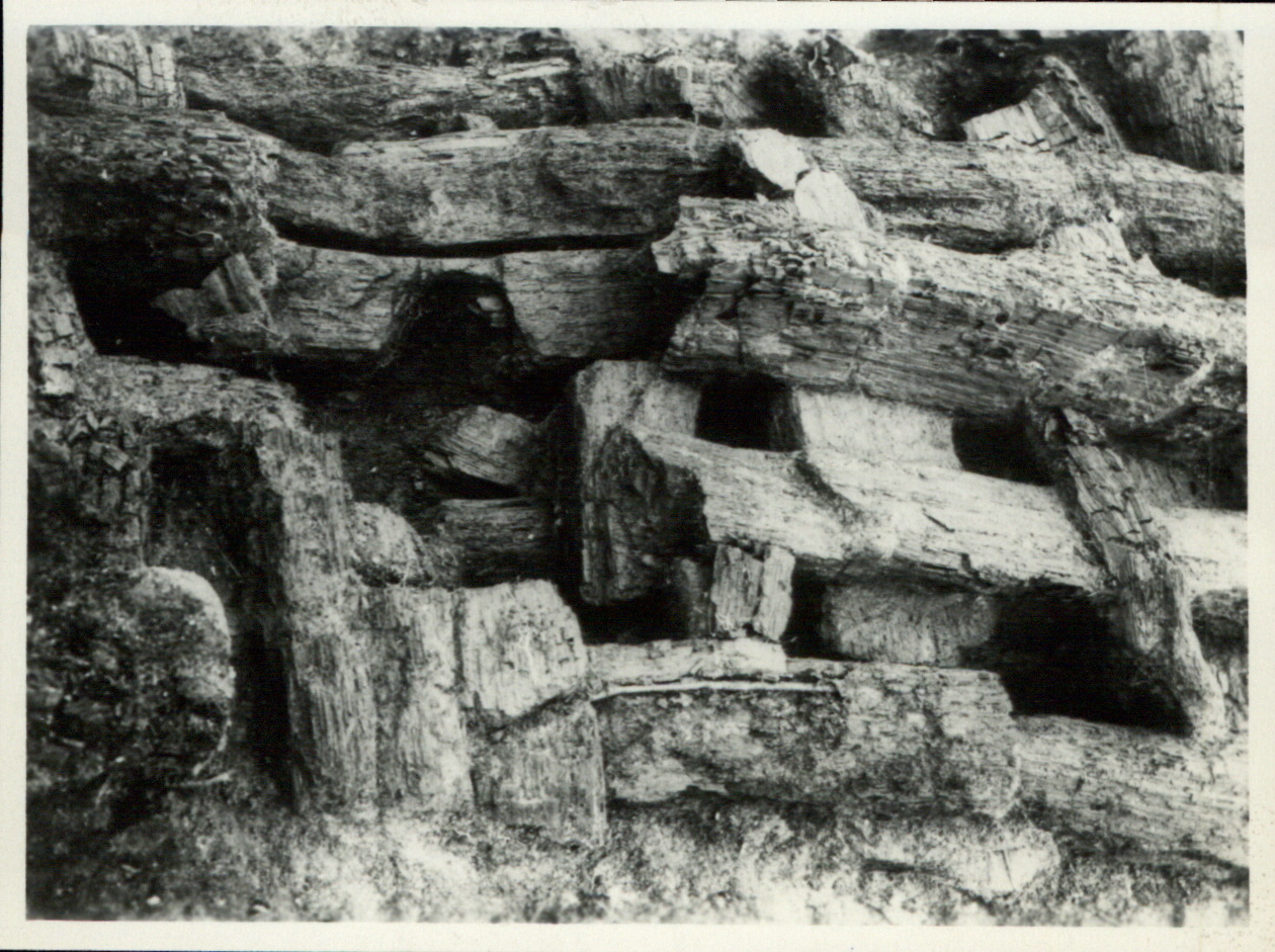 Bronzezeitliche Siedlung und Wall