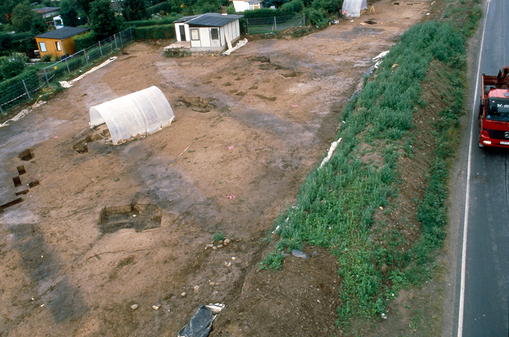Verbreitung und Aufbau