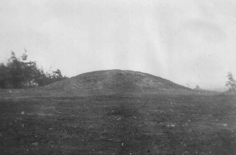 Nach der Rodung