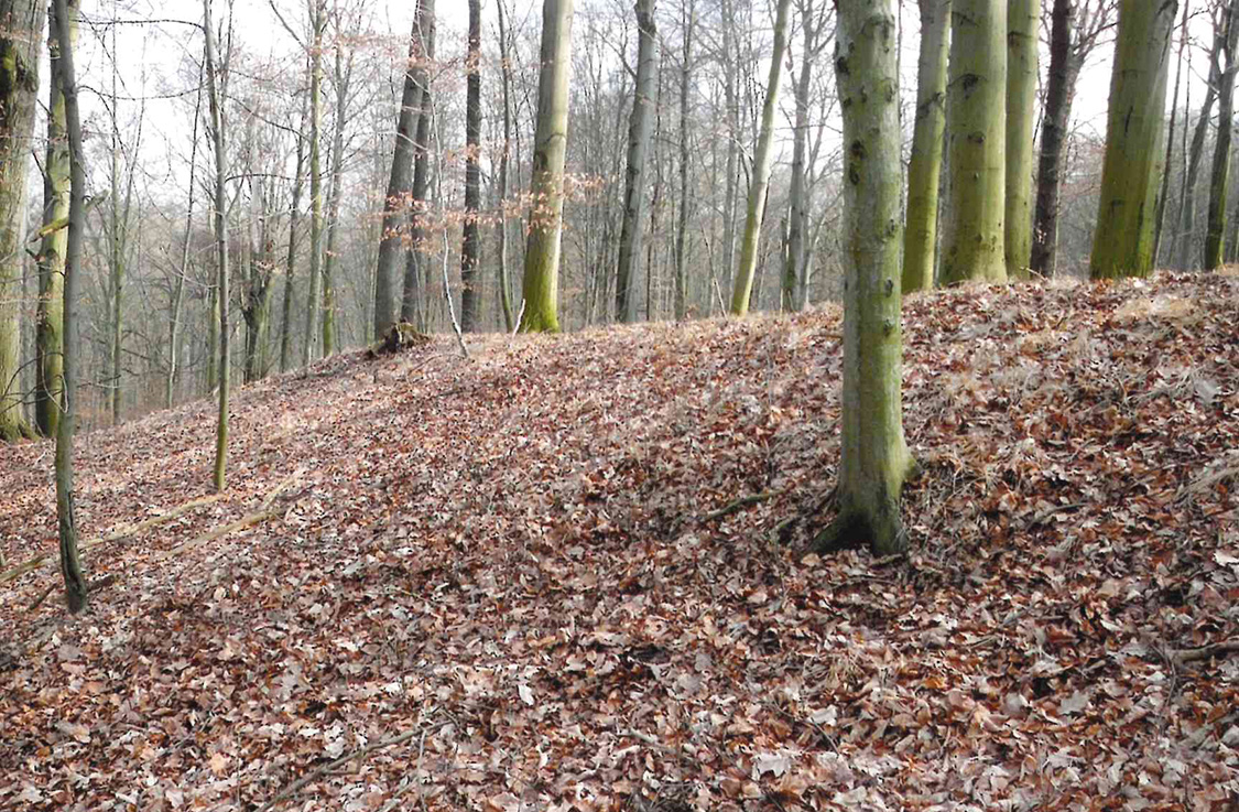 Datierung