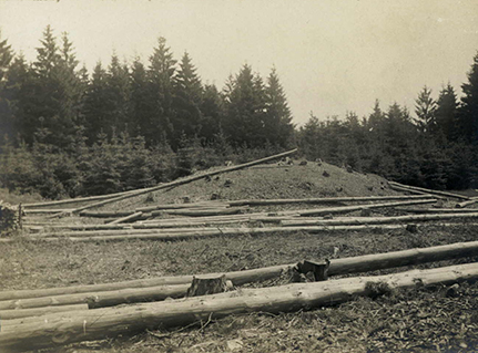 Kahlschlag