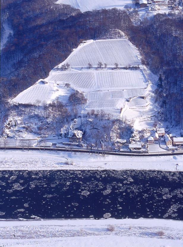 Liubusua