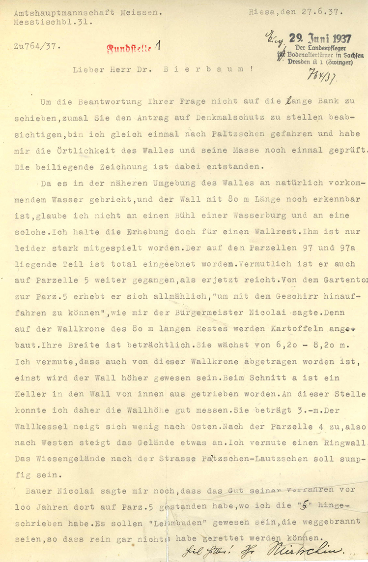 Bühl oder Ringwall?