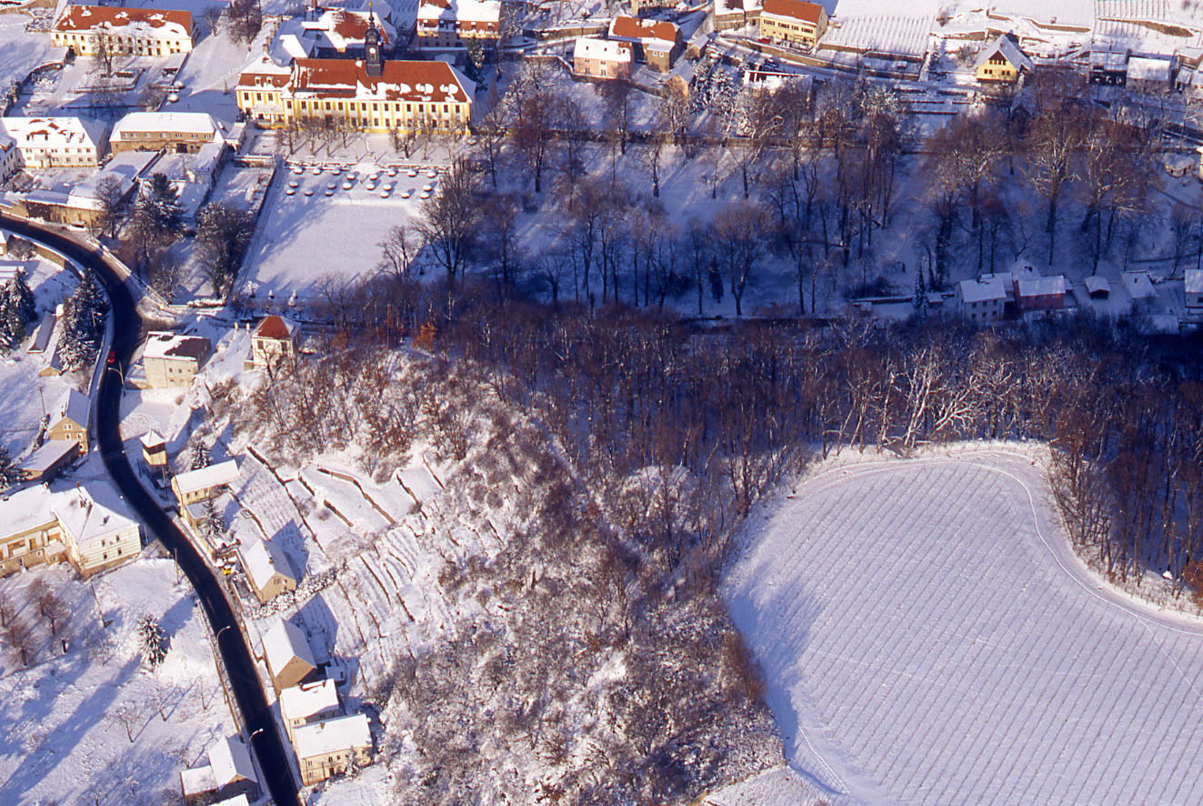 Turmhügelburg Heinrichsburg