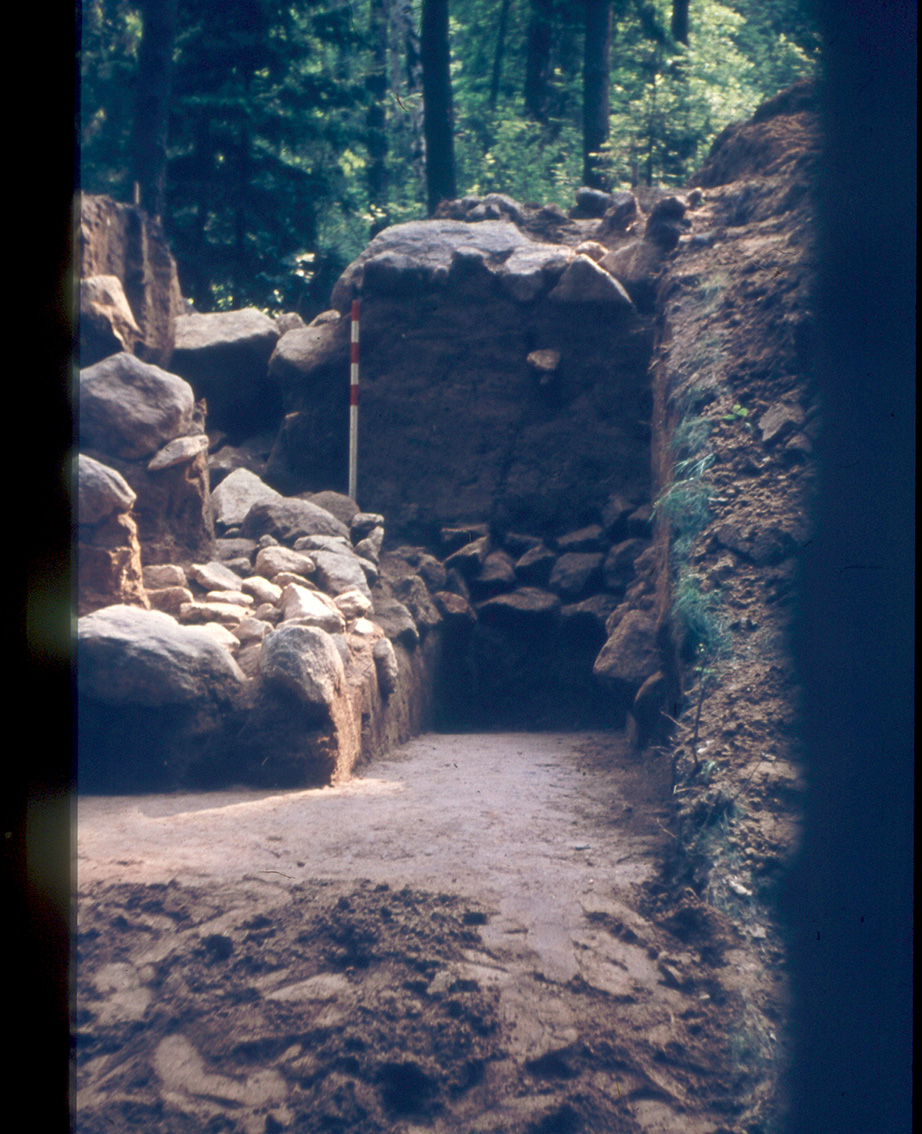 Grabung 1961