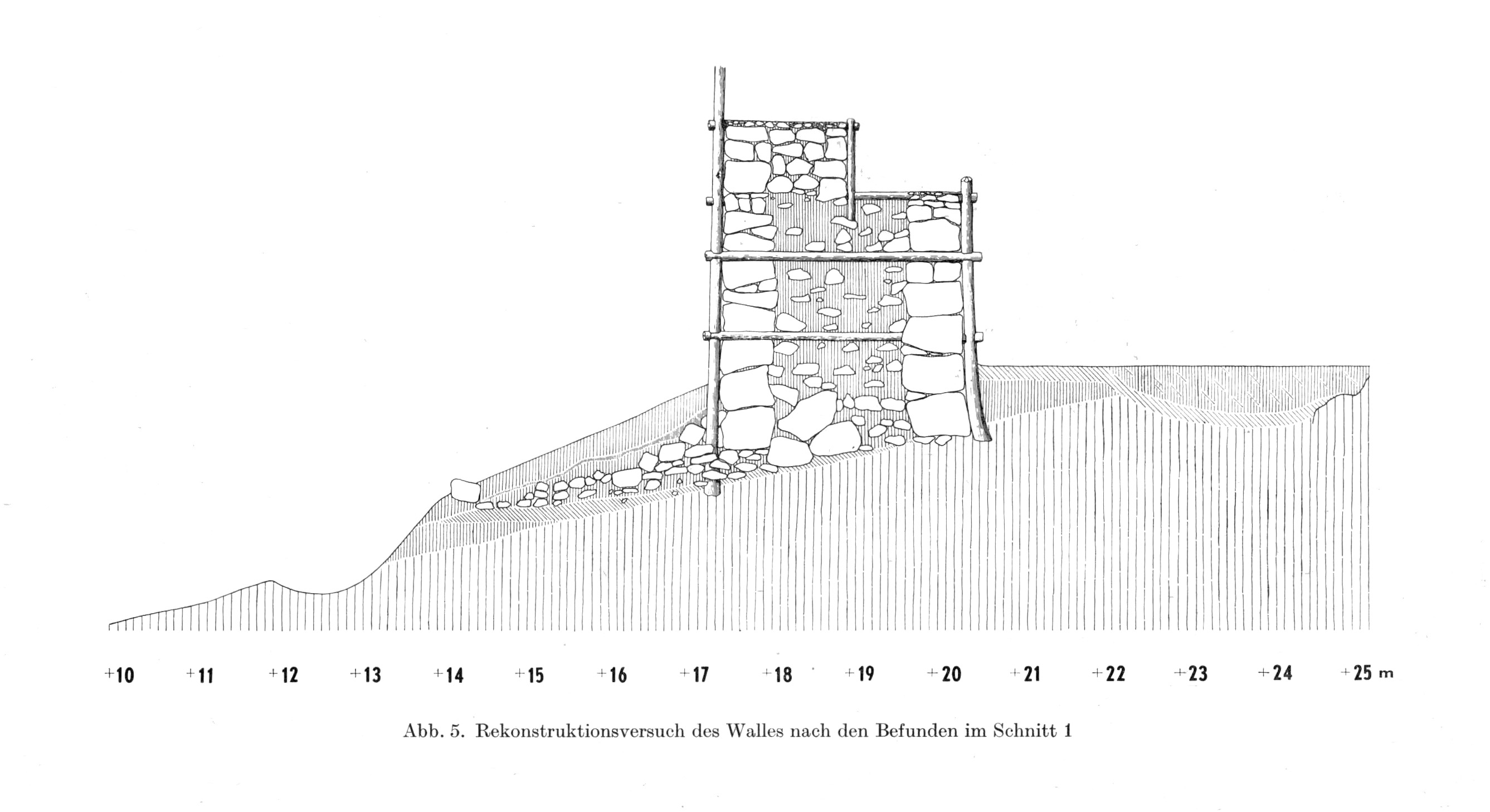 Der Wallaufbau